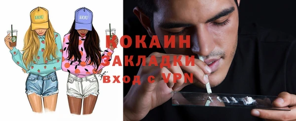 соль ск Арсеньев