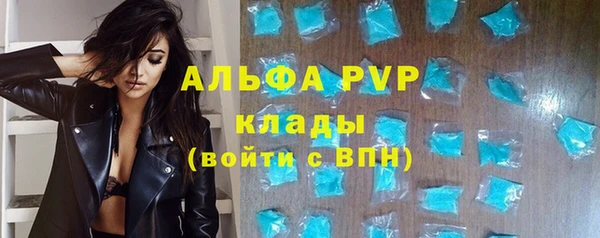 прущие грибы Аркадак