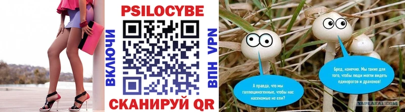 Псилоцибиновые грибы Psilocybine cubensis Балтийск