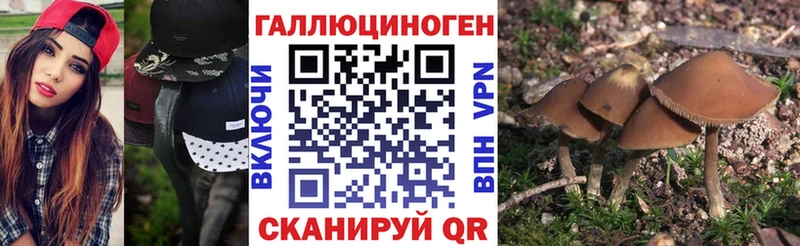 наркота  Балтийск  Галлюциногенные грибы прущие грибы 