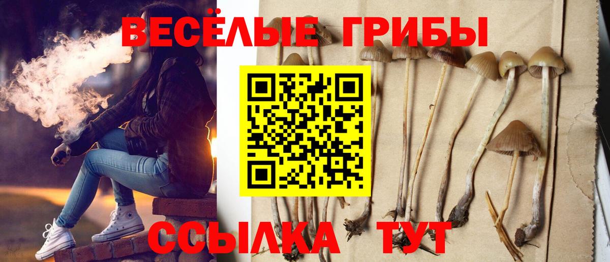 Балтийск  Псилоцибиновые грибы Cubensis  Вход с VPN 