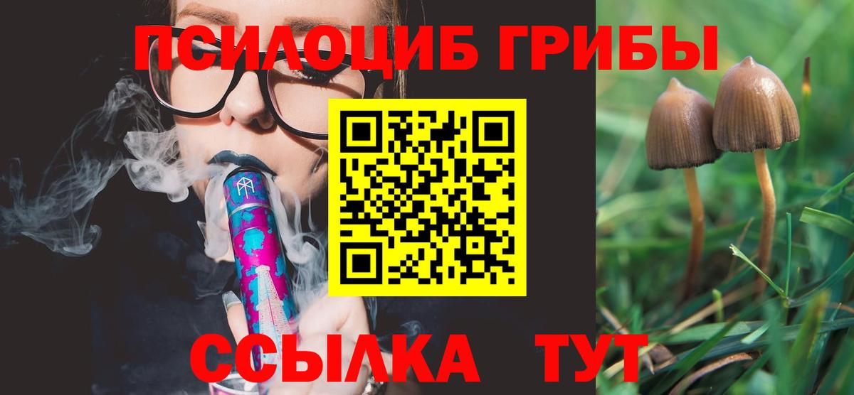 Псилоцибиновые грибы мухоморы Балтийск